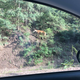 oh look, RIGHT THERE by the side of the road